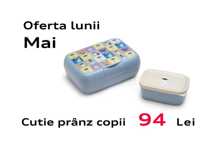 Cutie pentru prânz copii
