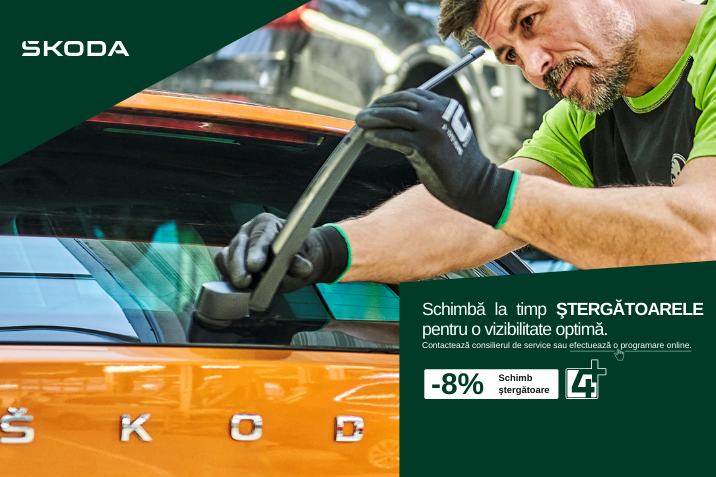 Schimb stergatoare skoda