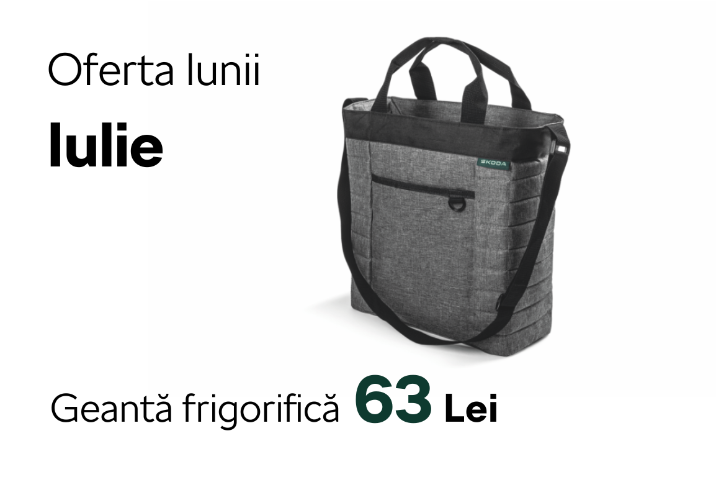Oferta lunii Iulie la Autoworld - Skoda Service