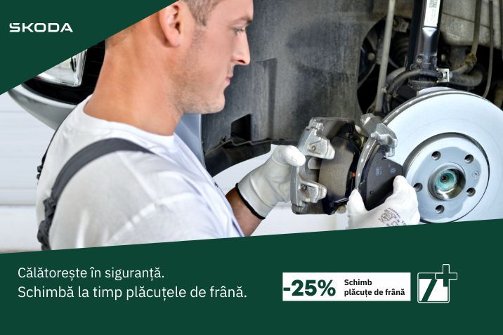 Schimb placute frana