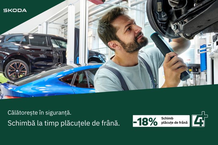 Placute de frana Skoda