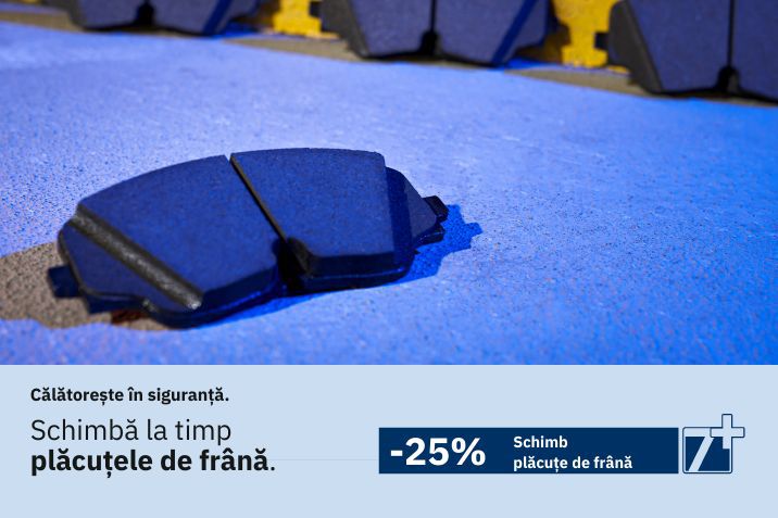 Schimb placute de frana
