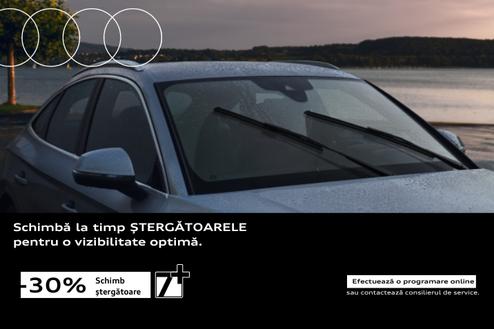 Schimb Stergatoare Audi