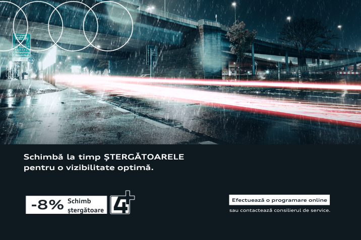 Schimb stergatoare Audi