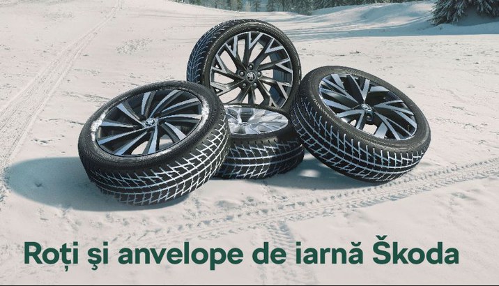 descoperă catalogul complet 